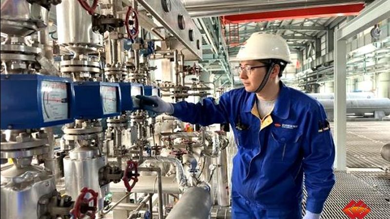 中药生产中的“高效助手”：揭秘小型中药喷雾干燥机的定制之道**